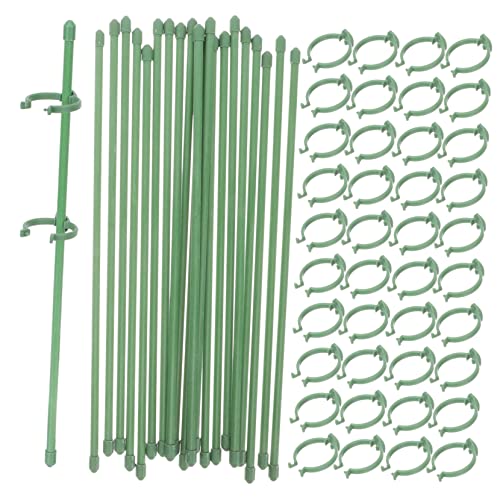 LckCryspho 50 |pAT|[gX^h ? 鐫A̐yʃvX`bNgXAԒd̐ڂ