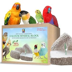 Congo® High Calcium Block for Birds | Bird Food and Supplement | Easy to Digest for Finch, Budgies, Lovebirds, Cockatiels, Conures, and Other Birds (Pack of 4-200 gm)