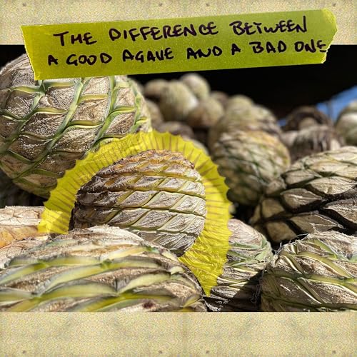The difference between a good agave and a bad one