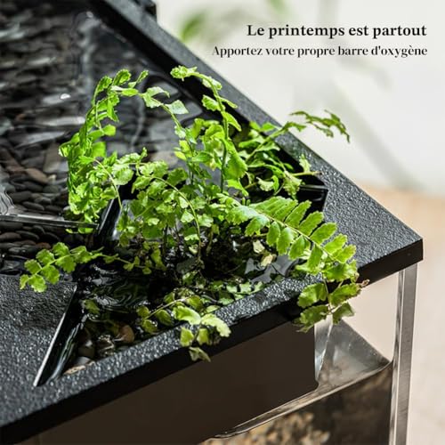 Aquarium rectangulaire avec pompe eau et cycle ecologique acrylique - 4