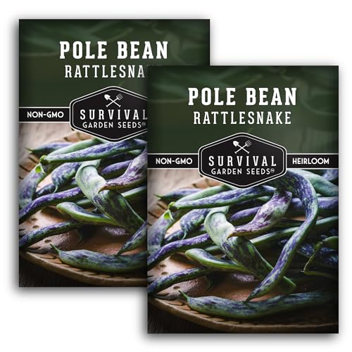 Rattlesnake Pole Bean Seeds for Planting - Heat Tolerant Climbing Green Beans with Striped Pods - Dual Purpose Heirloom Snap or Dry Beans - Survival Garden Seeds (2 Packs)
