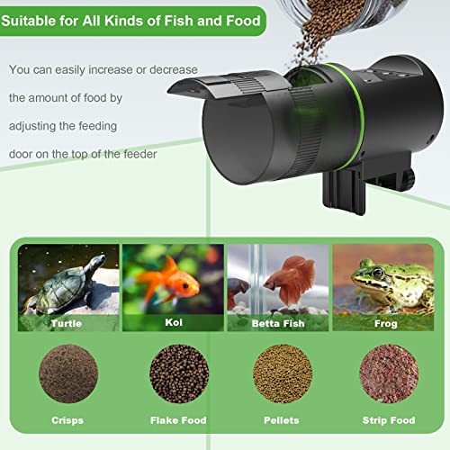 The 30 Best Automatic Fish Feeders of 2024 [Verified] Cherry Picks