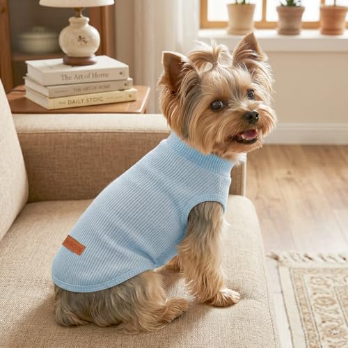 Chemises légères gaufrées pour chiens de petite taille : finis les coups de chaud en été