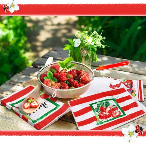 Torchons de cuisine microfibre 60x40 cm séchage rapide sans peluche