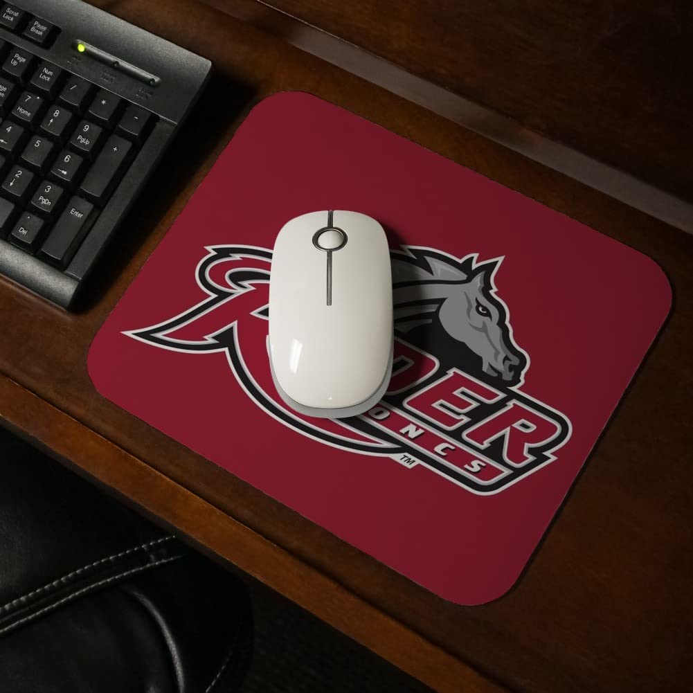 Rider University Primary Logo Low Profile Thin Mouse Pad Mousepad