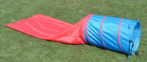 Affordable Agility Agility in The Bag