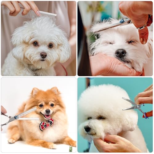 3 Stück Hundeschere Gebogene Schere Hund Fellschere Edelstahl Hunde Schere für Hunde Katzen Haustiere mit Schneiden Schere, Verdünnung Schere, Pflege Kamm (Blau, 3in1)