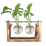 ★Fácil de usar y limpiar: la estructura simple de nuestro terrario de plantas hace que sea fácil de quitar y ensamblar, simplemente gírelo para verter agua, fácil de limpiar, plantar, cambiar las plantas, puede usar jabón para platos y cepillos pequeños para limpiarlo.