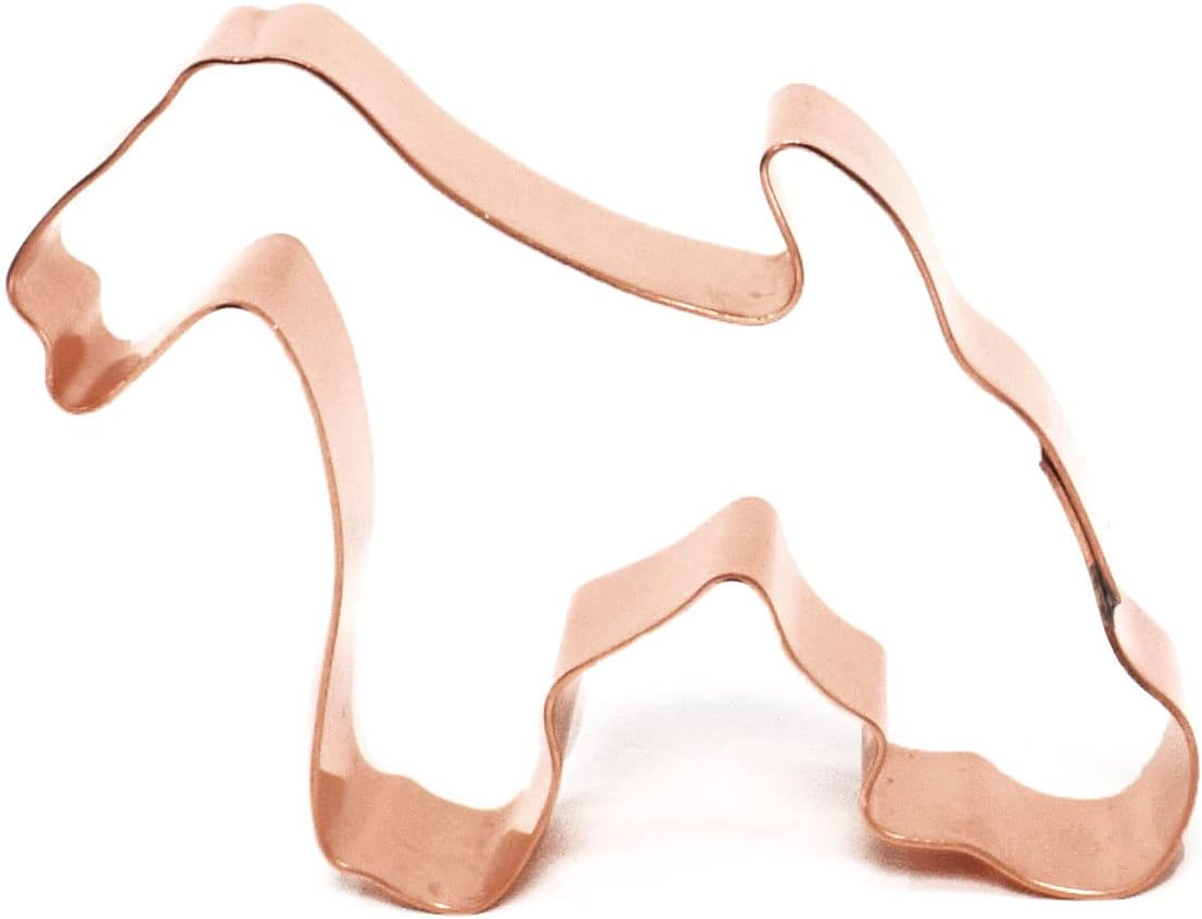 ワイヤー・フォックス・テリアの保険について。補償内容や注意点などを徹底解説 |