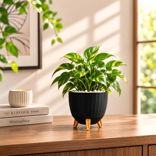 Image of (7 Inch) Plastic Flower Pot for Indoor Outdoor Plants with Stand, planters for Home Decor, Flower Pot with Legs, Flower Pot for Living Room, Garden, Pot for Office Table & Home (Black, 2)