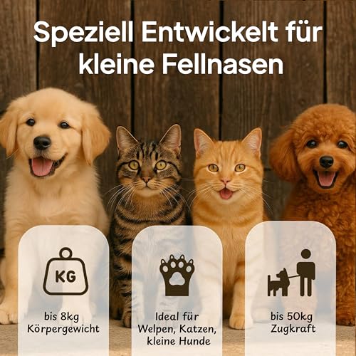 Tierhood Rollleine 3/5m für Katzen und Kleine Hunde - Leicht - Welpen bis 8kg
