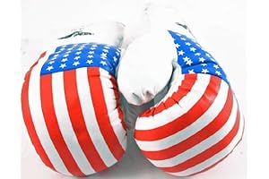 Shelter Professional Cheap Costume Boxing Gloves