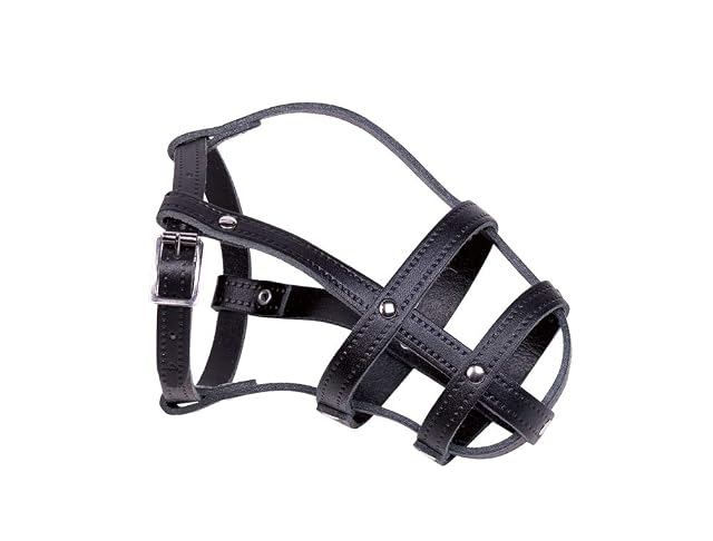 Nobby Bozal de Cuero Negro Talla 4 29/37 cm