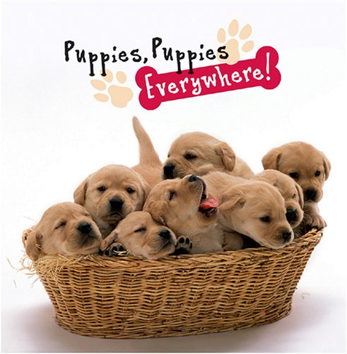Puppies, Puppies Everywhere! Schaefer, Peggy
