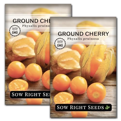 Sow Right Seeds - Ground Cherries Seeds for Planting - Non-GMO Heirloom Packet with Instructions to Plant an Outdoor Home Vegetable Garden - Mexican Husk Tomato - Endangered Variety (2)