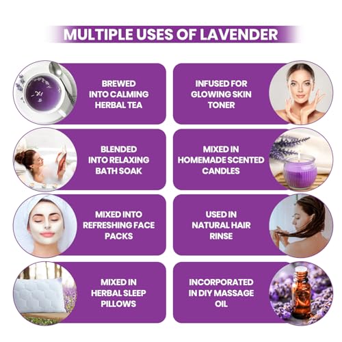 Image of TEAFLOOR - Dried Premium Lavender Flower Tea Pack of 2 | Natural, Herbal ,Pure | Caffeine free| Sun Dried Flower Buds | From The Farms Of KASHMIR |Net Weight : 70 Gram (70+ Cups)| Hot & Iced Tea, Flavored Syrups, Cocktails, Herbal Soap Making & Infusion ||