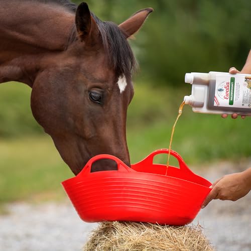 NEU! EWALIA Halswohlsaft - Beruhigendes Ergänzungsfuttermittel für Pferde, Förderung des allgemeinen Wohlbefindens, Natürliche Kräuterformel für Vitalität - mit Tierärzten entwickelt, 3x1 Liter