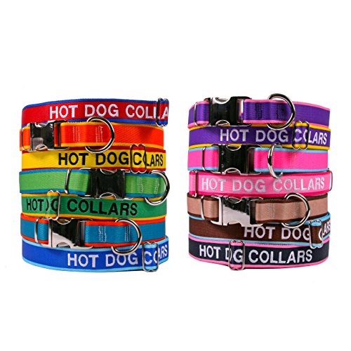 Large Purple W/Yellow Stripes Premium Personalized Embroidered Dog Collar - 3 Sizes + 14 Colors - All Metal Hardware #TOP2