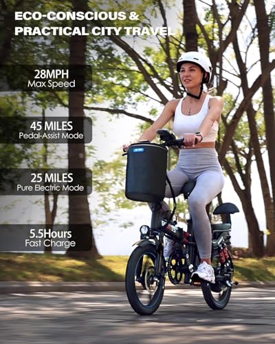 Rakowe Folding Electric Bike