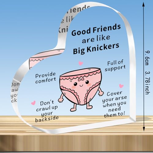 JMIMO Funny Best Friend Birthday Gifts for Women Special Friend Present Christmas Humour Plaque for Female Friend Bestie - Good Friends Are Like Big Knickers - Image 2