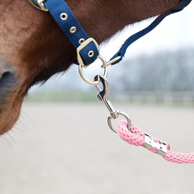 Foto 3 de 4 de HORZE Snap Buckle Lead