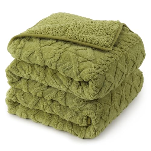20lbs Weighted Blanket for Adults 60 x 80 inches, Ultra Fluffy Jacquard Sherpa Weighted Blankets with Soft Plush Flannel, Cozy Winter Heavy Blanket for Sofa Bed, Ceramic Beads, Grass Green