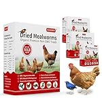 Organic Dried Mealworms 10 lb-Non GMO Meal Worms Chicken Feed Wild Bird Treats & Bird Food – Natural Mealworms for Chickens, Birds, Wild Birds, Bluebirds, Hens, Ducks, Turtles & Reptiles. - Image 3