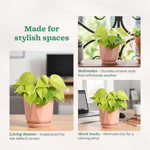 Image of UGAOO Diamond Ceramic Flower Pot for Indoor Plants, 4 Inch - Curtain Brown