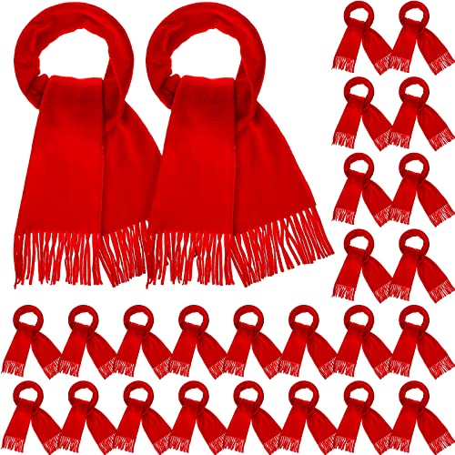 24 Pack Winter Scarves Solid Soft Warm Scarf with Fringe Men Women Cold Weather Scarves Wraps Warm Winter Scarf Bulk