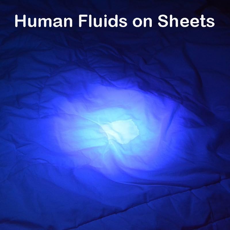 Miniatura 4 de TATTU U3S Linterna UV recargable 365nm linterna de luz negra con filtro ZWB2, lámpara LED ultravioleta de luz negra de 10 W con cable de carga micro