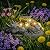 Garden Dragon Statue Outdoor Decor, Coiled Sleeping Dragon Figurine with Solar Light Succulent, Waterproof Resin Garden Sculpture for Outside Lawn Patio Yard Ornament