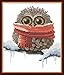 Maydear Full Range of Embroidery Starter Kits Stamped Cross Stitch Kits Beginners for DIY Embroidery (Multiple Pattern Designs) - Owl with a Scarf