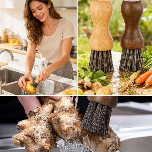 Foto von WhaleO 2 Stück Pilzbürste, Pilzpinsel Kartoffelbürste Pilzbürste Pfifferlinge Gemüsebürste Obstbürste, Reinigungsbürste für Gemüse,Kartoffel,Karotten,Wurzelbürste, Natürlichem Buche Griff und Rosshaar