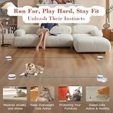 Hedsuin Interactive Cat Toy for Indoor Cats – Automatic Moving&Enrichment Toy for Indoor Cats/Kitten, Auto/Manual Control Cat Treadmill for Exercise & Mental Stimulation, Stimulating Chase Toys (H1K3) - Image 2