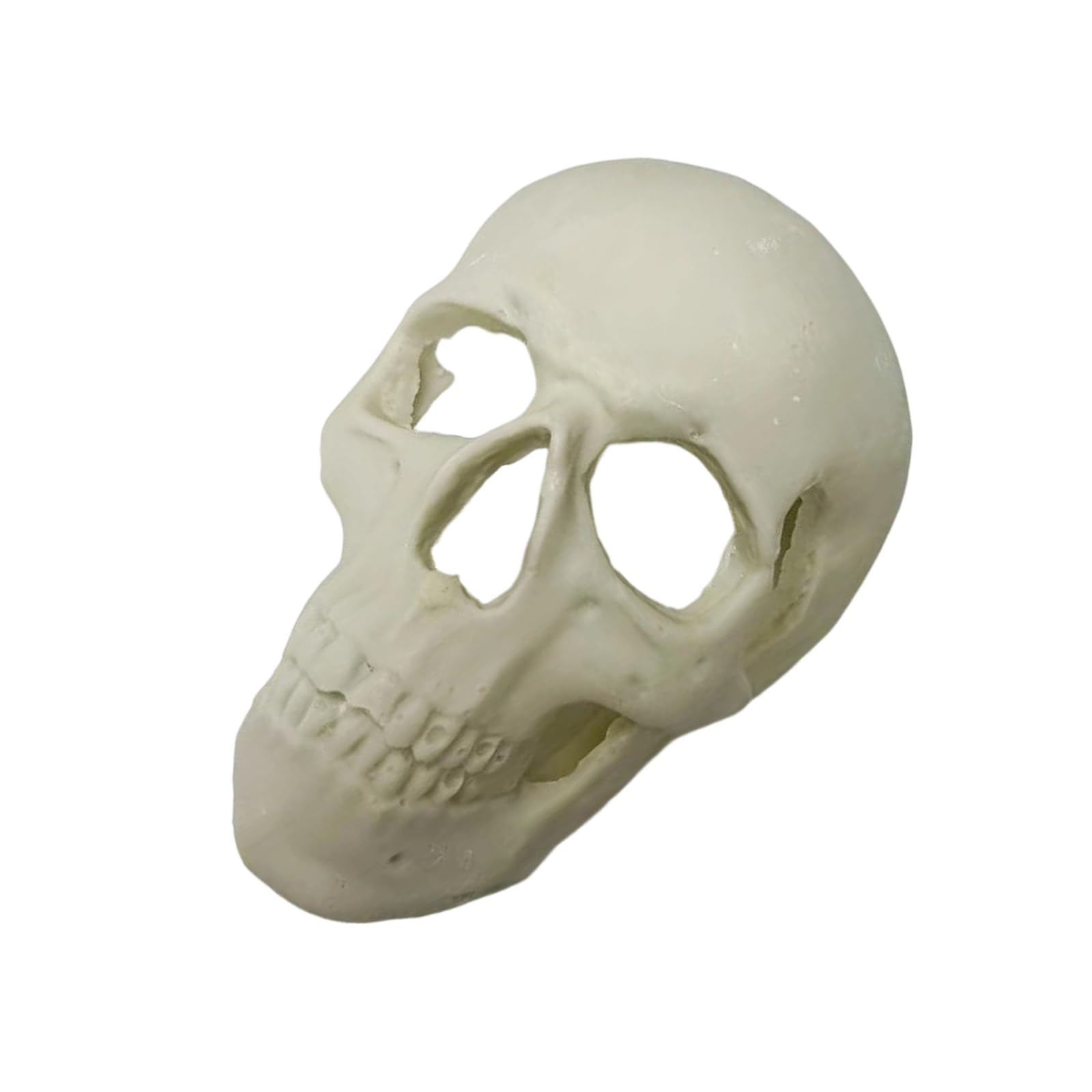 Terrarium Skull Ornament Resin Decor for Enclosure Styling, Seasonal Accent for Habitat and Halloween Display Themes Terrarium Skull Decor Enclosure Ornament Habitat Styling Resin Display Halloween