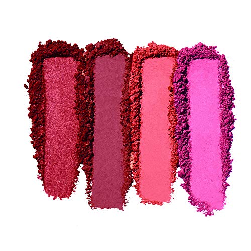 E.l.f. Blush Palette Dark, 0.56 Ounce (16 Gram) #TOP1