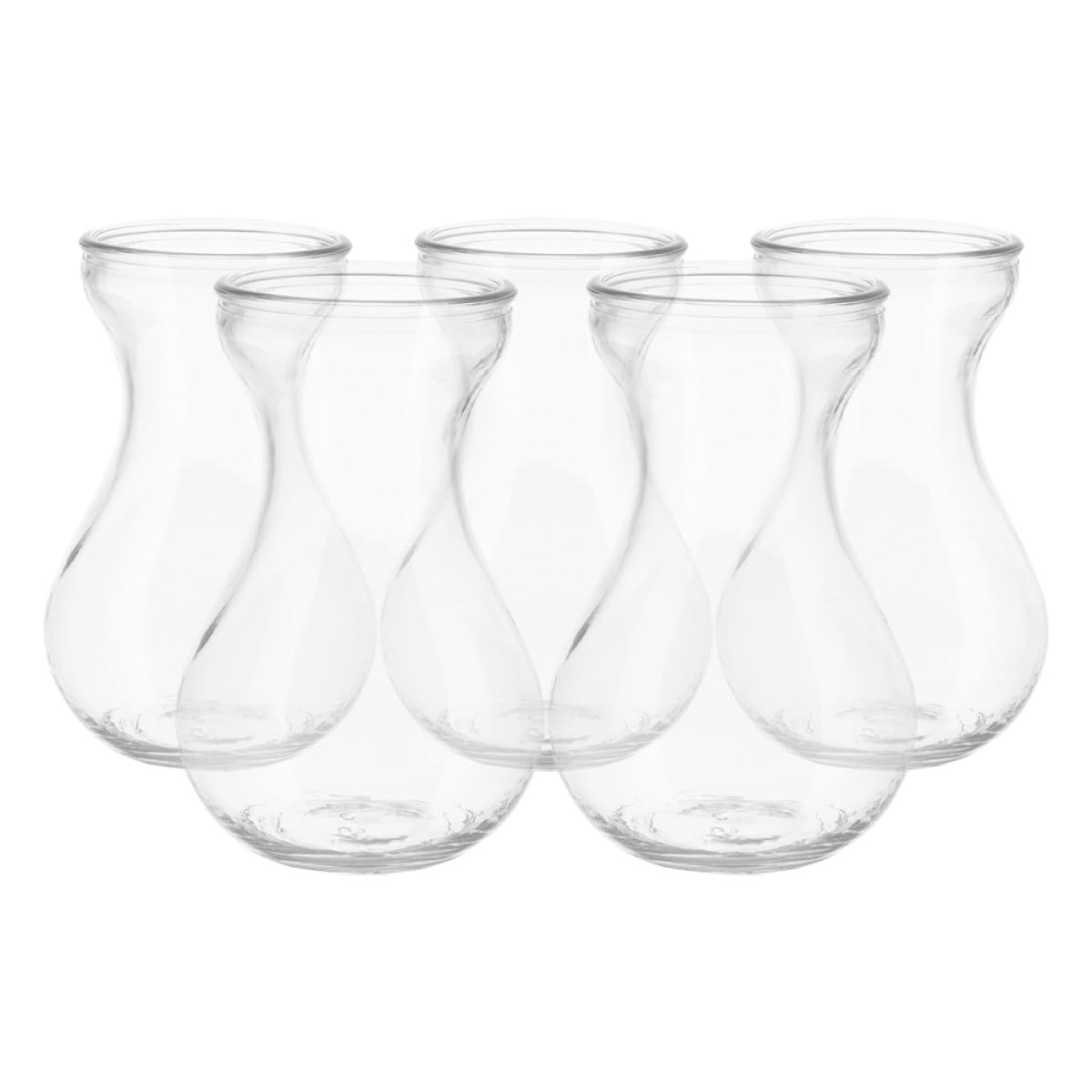 Vase en verre hydroponique (lot de 5) à fond plat pour plantes