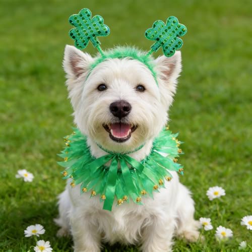 Disfraz St Patricks Día para Perro con Collar y Vincha miniatura 2