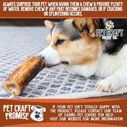 Pet Craft Supply Buffalo Marrow Bones Dog Chews Treats for Aggressive Chewers Long Lasting Rawhide Free Premium Slow Roasted 3 Pack