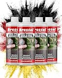 STEINREINIGER INTENSIV AUSSEN 4x 1000 ml – Pflasterstein Reiniger mit SOFORTWIRKUNG,...