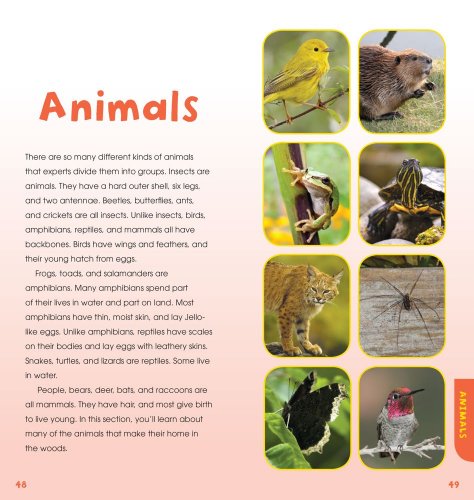 A Walk in the Woods: Into the Field Guide - Image 11