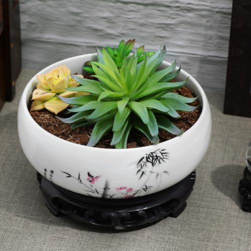 Pot de fleurs rond en céramique pour plantes succulentes - 5
