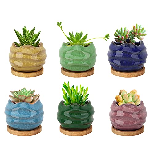 Lewondr Pot de Fleur [Lot de 6], Pot Fleur 2.8 Pouces Mini Céramique avec Plateau en Bambou, Succulent Pots Crépiter avec Trou Petite Plante Fleur Cactus Décoration pour Maison Bureau Table - Coloré Cover