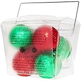 Eucalpytus & Peppermint Aromatherapy Shower Steamer 6-pack