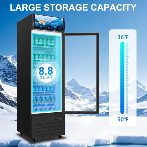 Commercial Beverage Refrigerator 1 Glass Door, 8.8 Cu.ft Commercial Upright Display Merchandiser Refrigerator, Beverage Cooler with LED Light, Lock Wheels, Adjustable Shelf for Bar, Shop - Image 4