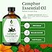 SVA Camphor Essential Oil – 4 Fl Oz – 100% Natural Camphor Oil - for Diffuser, Hair Care, Face, Skin Care, Aromatherapy, Scalp and Body Massage, Soap and Candle Making – with Dropper