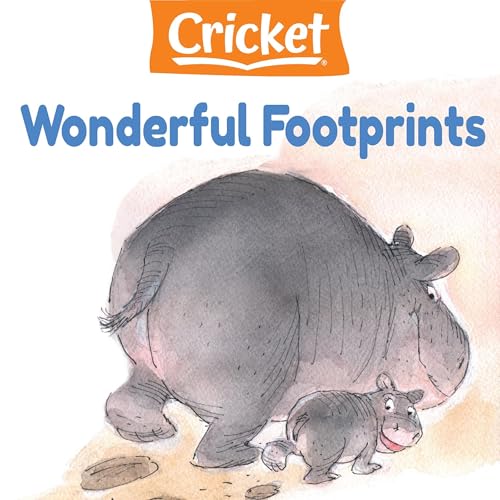 Wonderful Footprints (By Valeri Gorbachev) episode artwork