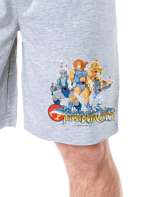 ThunderCats 1985 Mens' Classic TV Show Characters Lion-O Cheetara Tygra Panthro Sleep Pajama Shorts2