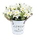 Produktbild HUAESIN Künstliche Blumen Daisy im Topf Kunstblumen Gänseblümchen mit Eiseneimer 20 x 20cm Kunstpflanzen Plastik Blumen deko für Balkon Garten Tischdeko Hochzeit Zuhause Dekoration