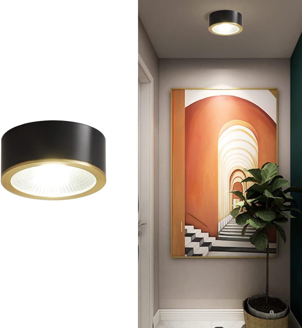 Black LED Flush Mount Ceiling Light 9W Warm Light Modern Brass Ceiling Lamp for Bedroom, Living Room, Entryway